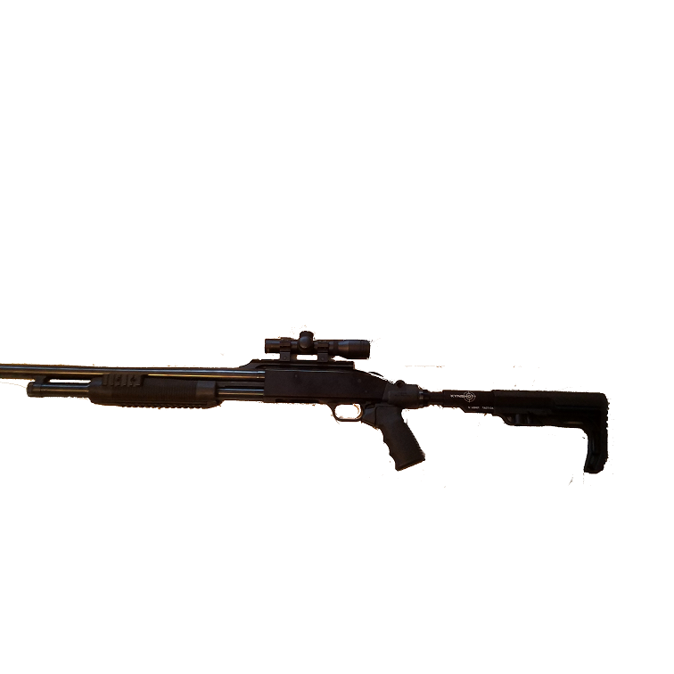 Shotguns